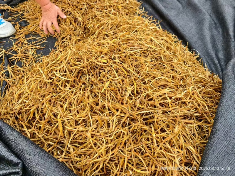 【热卖】内蒙古直发干黄花菜自然晾干0添加好品质欢迎选购