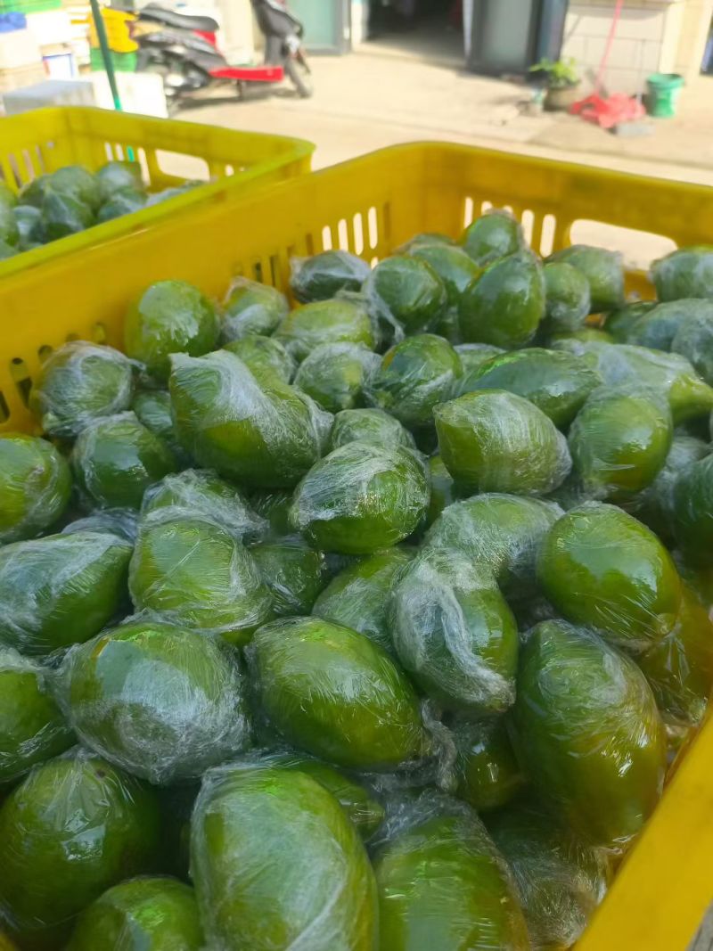 香水柠檬