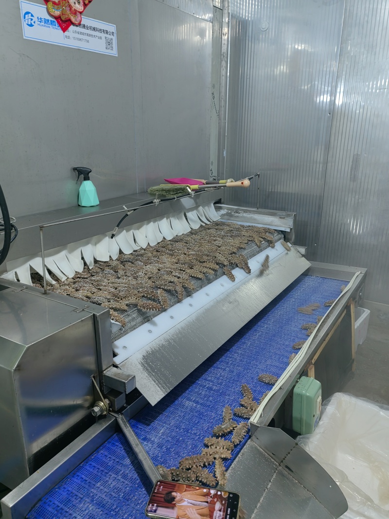 鲜食海参