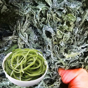 烘干海带丝泡发后翠绿色餐饮店专用海带片海带苗海带头海带丝