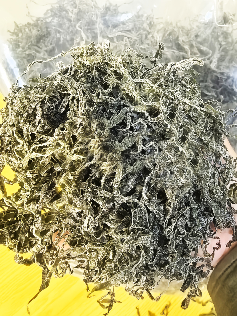 烘干海带丝泡发后翠绿色餐饮店专用海带片海带苗海带头海带丝