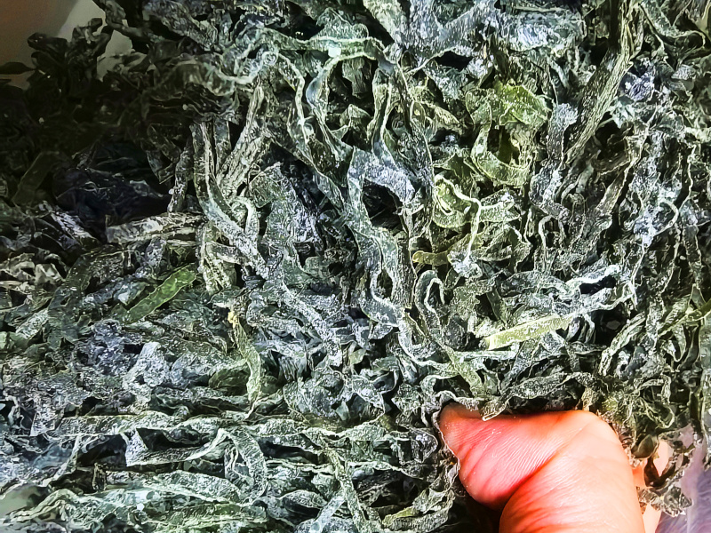 烘干海带丝泡发后翠绿色餐饮店专用海带片海带苗海带头海带丝