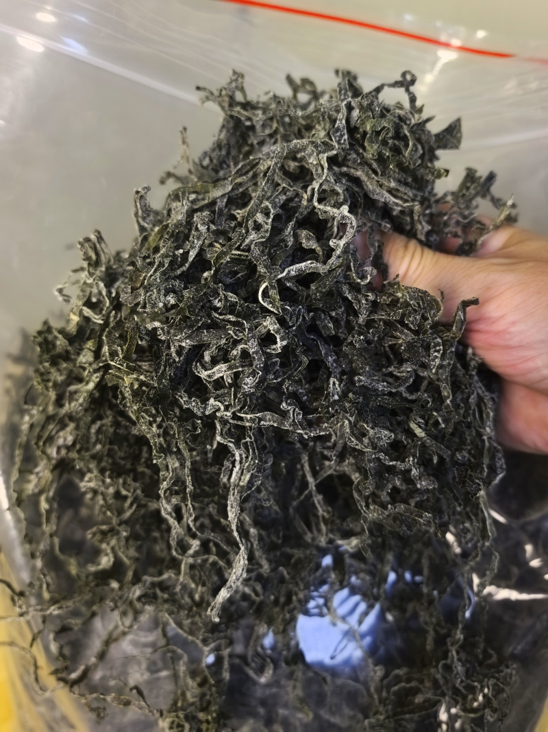 烘干海带丝泡发后翠绿色餐饮店专用海带片海带苗海带头海带丝