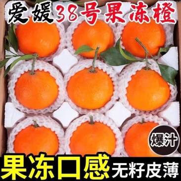 《精品》爱媛38果冻橙四川基地直发对接全国一条龙服务
