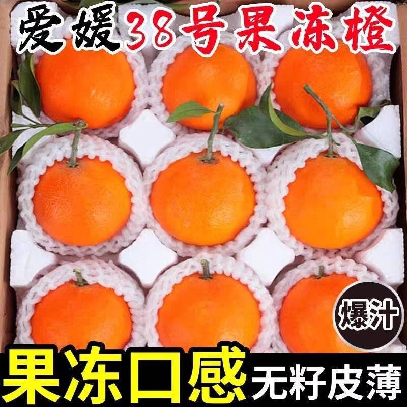 《精品》爱媛38果冻橙四川基地直发对接全国一条龙服务