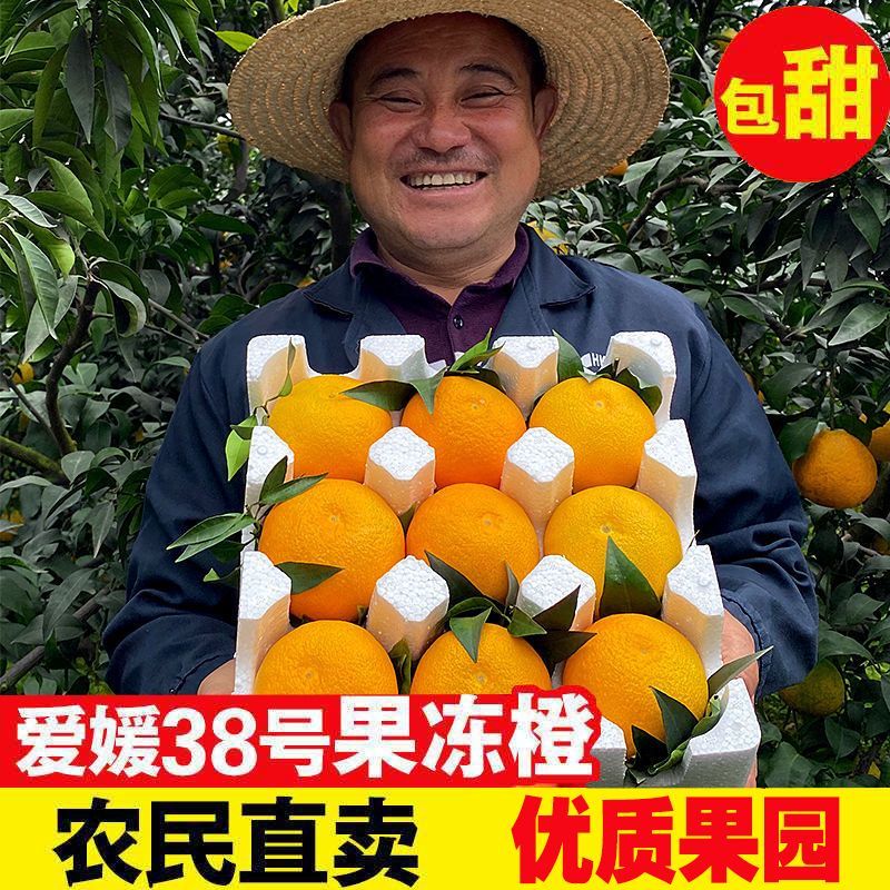 《精品》爱媛38果冻橙四川基地直发对接全国一条龙服务