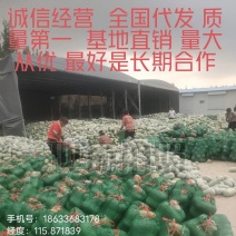 水果冬瓜支持视频看货诚信经营