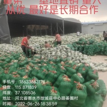 水果冬瓜支持视频看货需要的联系我