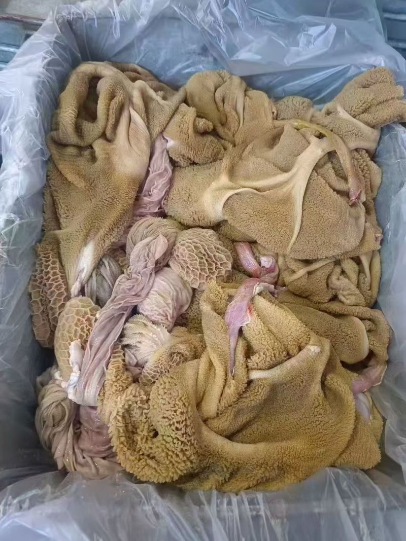 草地羊肚纯草地五斤卷精修纯干有长期稳定供应能力