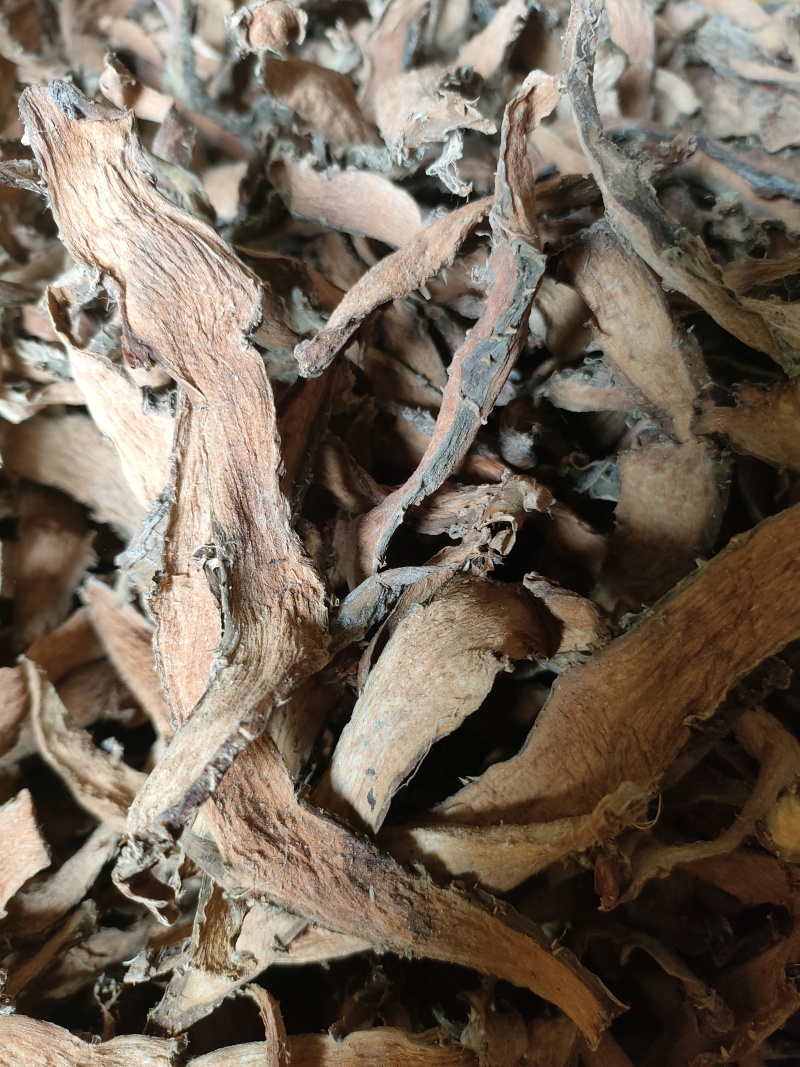 簕茨菇，勒茨菇，刺芋，干片