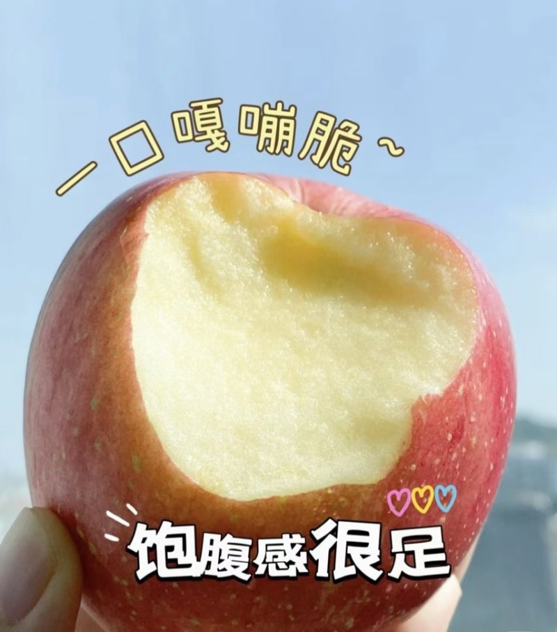 红富士苹果/山西运城/皮薄脆甜冰糖心量大从优。