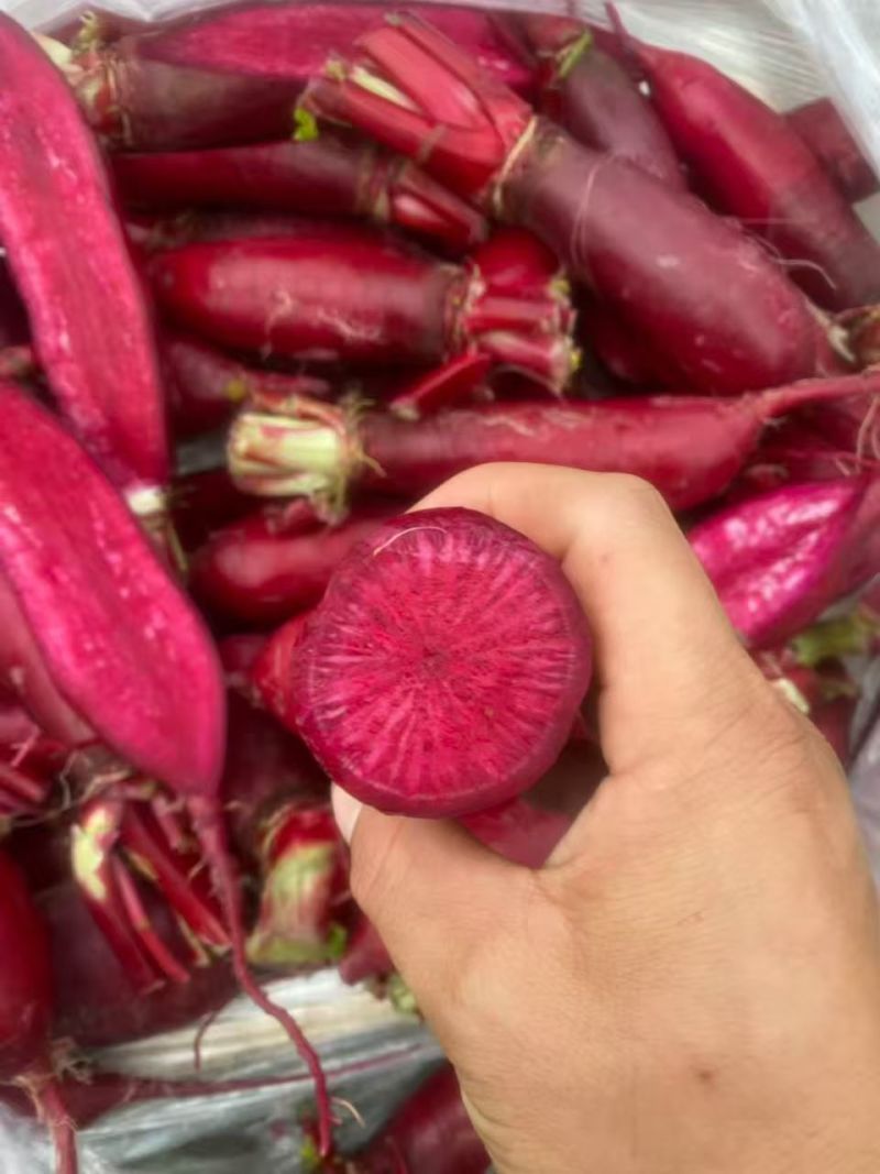 胭脂萝卜，里外透红，是泡菜的必选之品，又脆又甜。