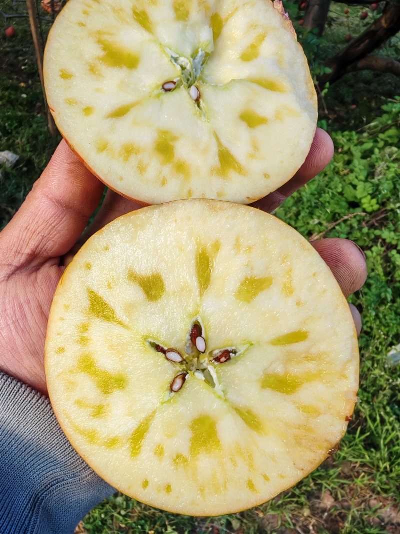 大凉山盐源糖心苹果实力代办，有需要的，老板，可以来联系，