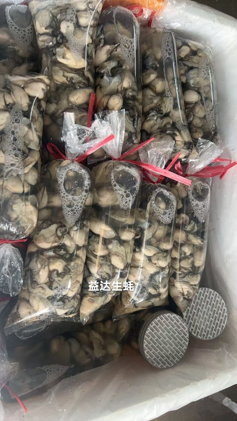 生蚝全网**，源头直发，接各种规格和包装，新鲜生蚝肉现开