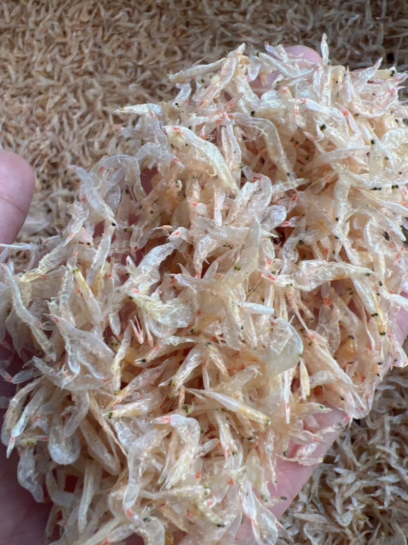 烤虾皮地摊电商批发烤虾皮水晶虾皮小河虾麦秆虾虾干干虾