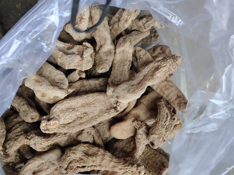 野生手选天麻大个色好无流批发天麻片批发补品营养送礼吃！！