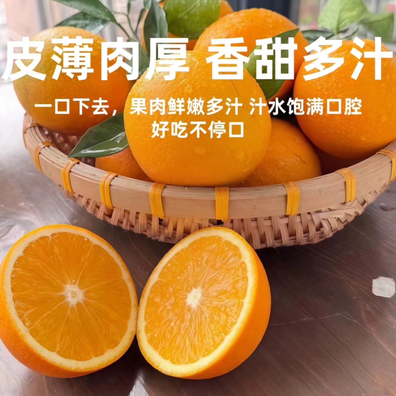 赣南脐橙