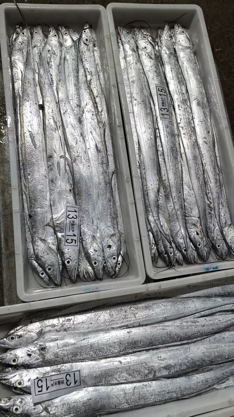 东海（白鲳鱼）源头一手货源。冻品小包装盒产地直供。