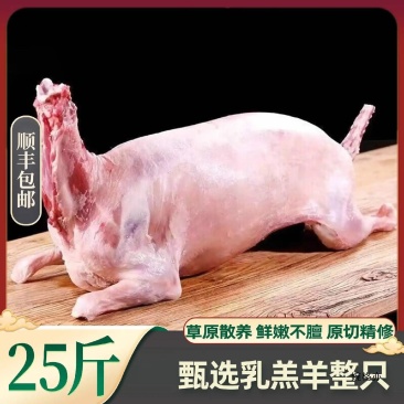 整只羊22-40斤全羊草原新鲜生鲜整只羊