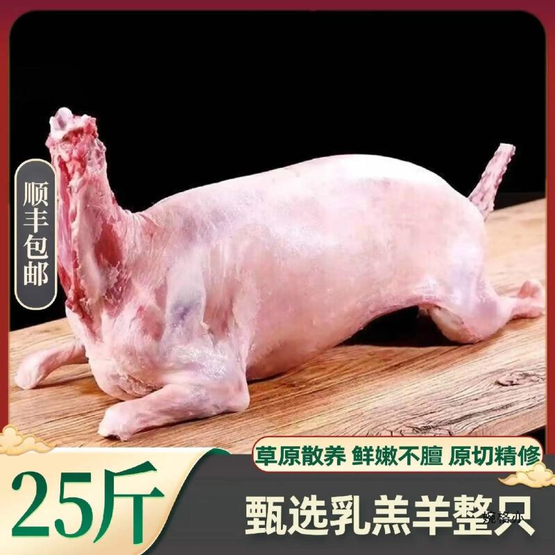 整只羊22-40斤全羊草原新鲜生鲜整只羊