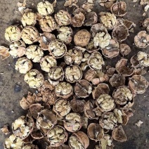云南核桃地摊货电商货都有高品质低价格