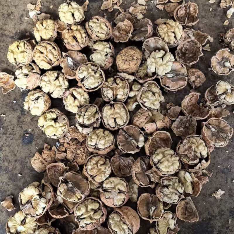 云南核桃地摊货电商货都有高品质低价格