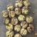 云南核桃地摊货电商货都有高品质低价格