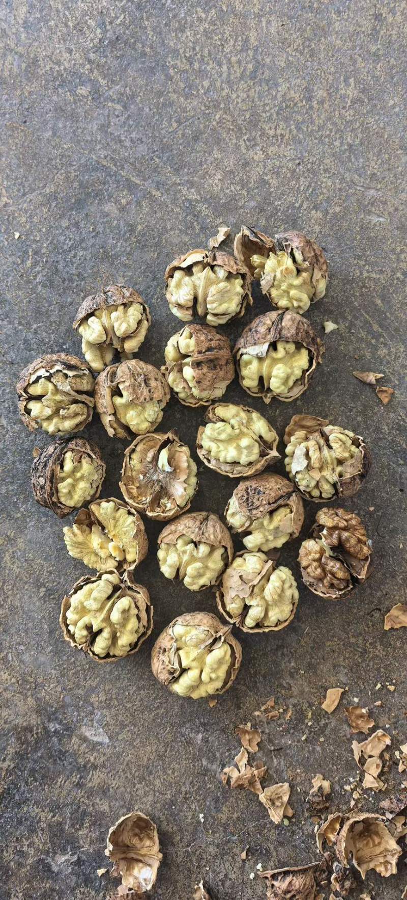 云南核桃地摊货电商货都有高品质低价格