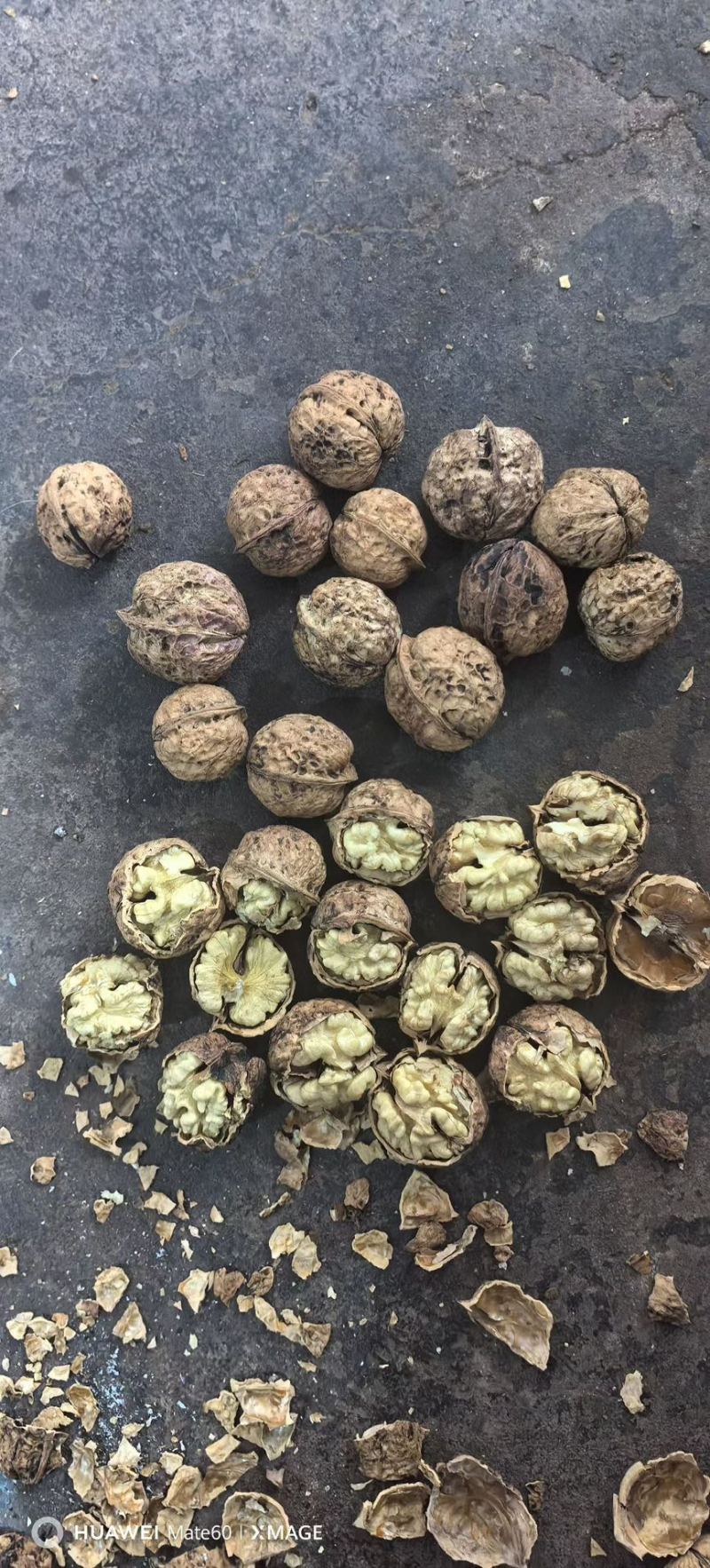 云南核桃地摊货电商货都有高品质低价格
