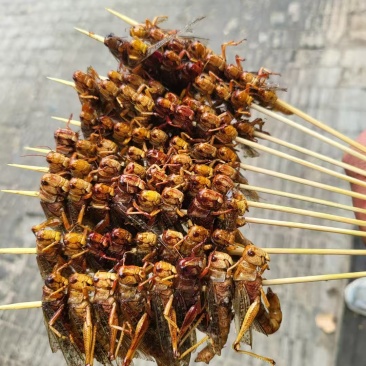 蚂蚱串