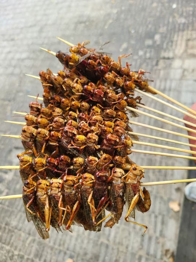 蚂蚱串