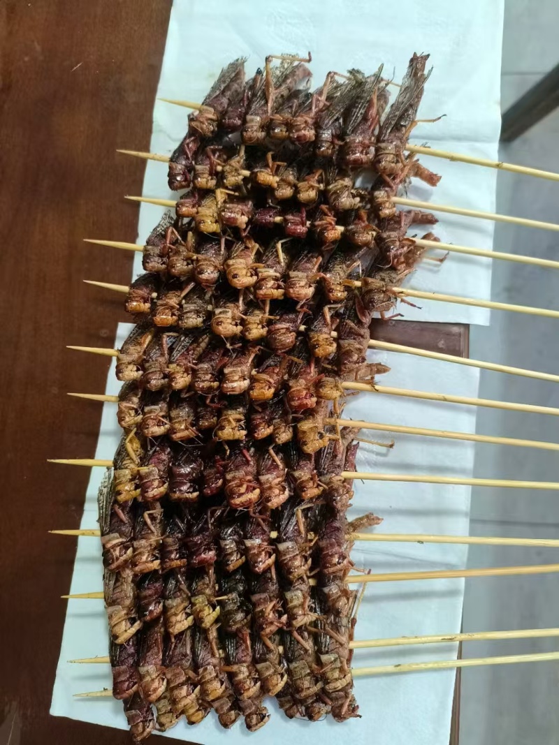 蚂蚱串