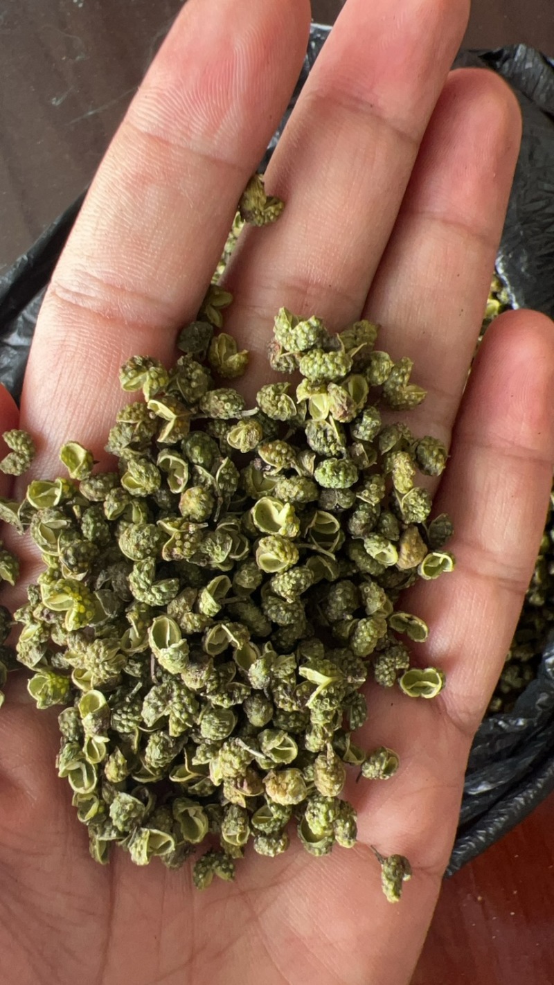 一级高山青花椒，开口好，无刺，无仔，麻味好，可长期供货