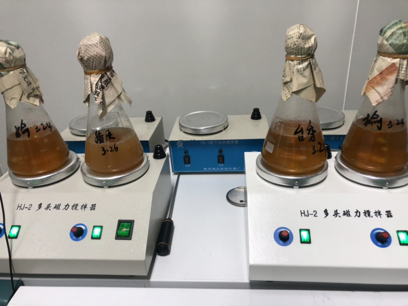 虎奶菇菌包