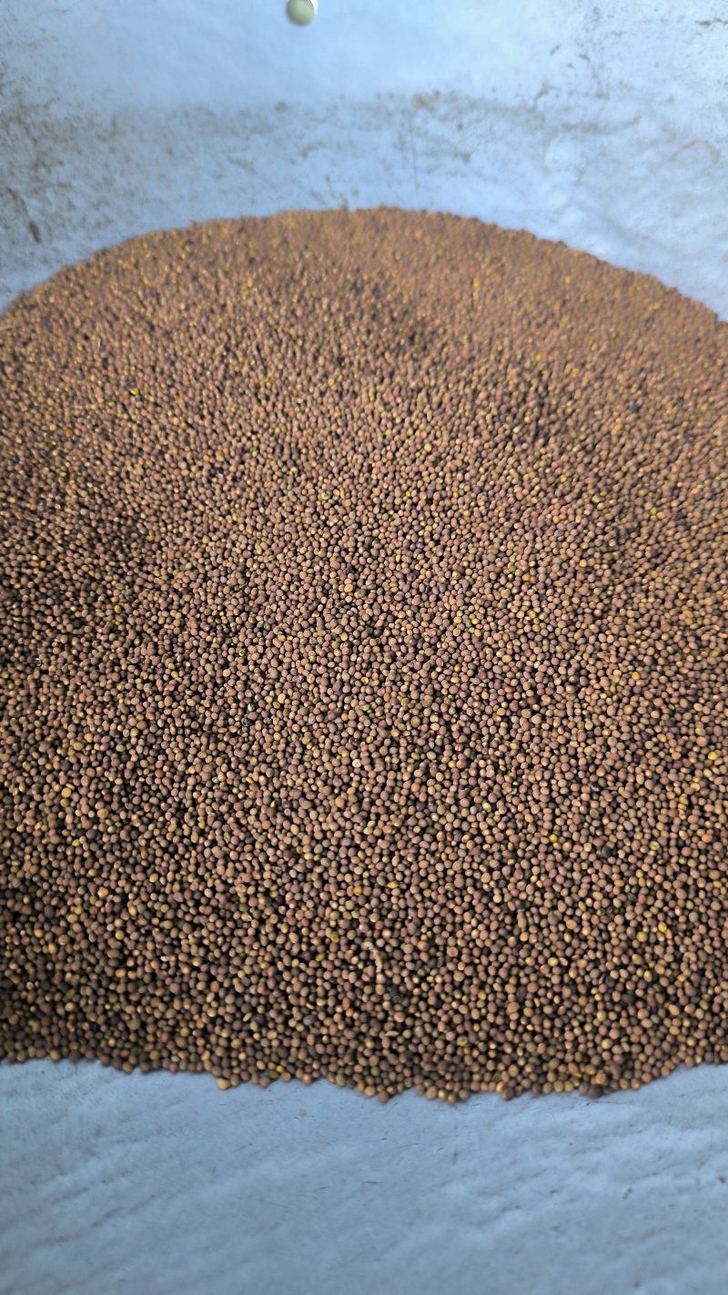 菟丝子中药材批发菟丝子产地直销质量保证量大从优