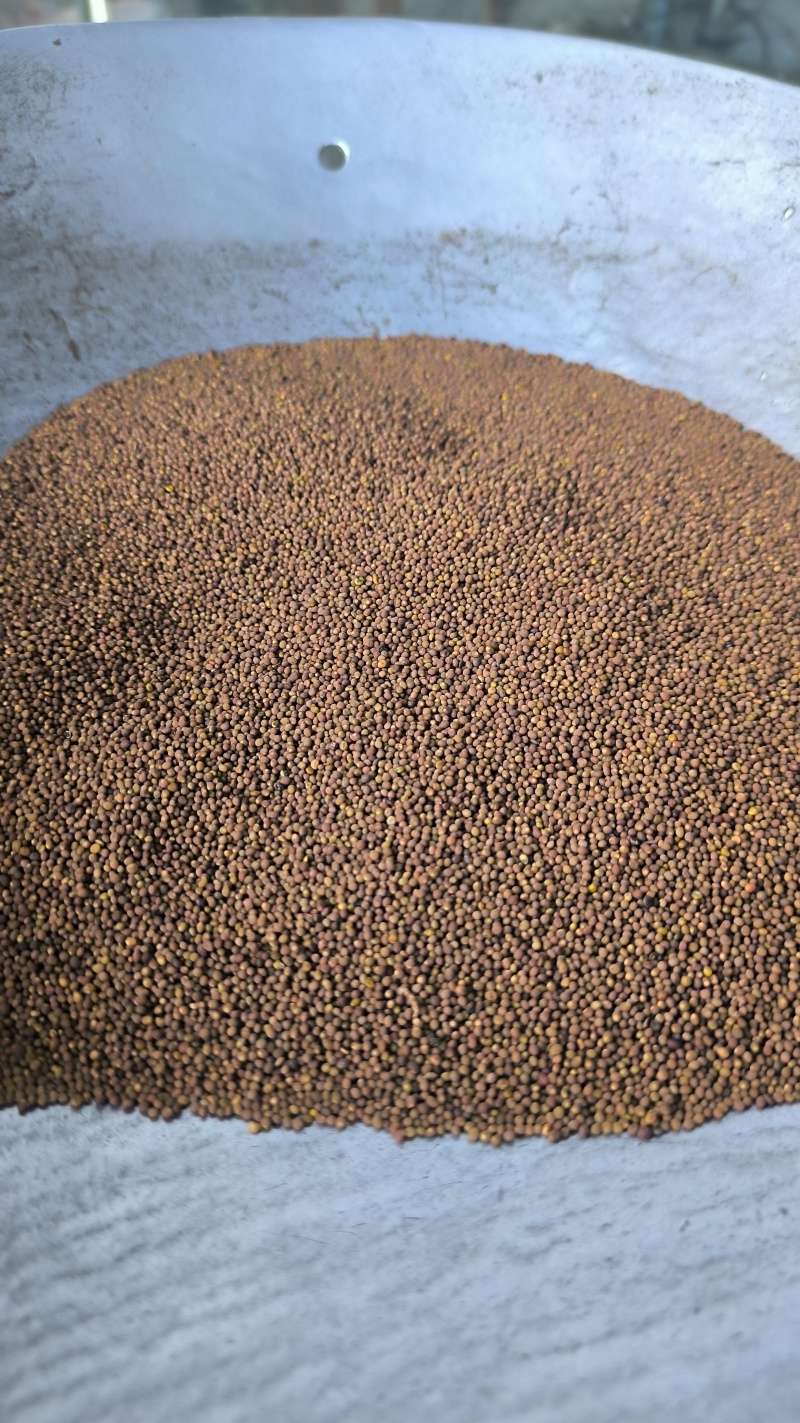 菟丝子中药材批发菟丝子产地直销质量保证量大从优
