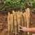 白鬼山药大量上市欢迎来️️电来人实地参观