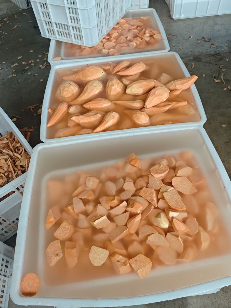 西瓜红红薯块，龙九红薯块，紫薯红薯块，大量供应