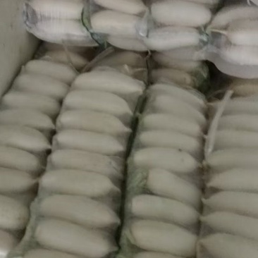 白萝卜，湖北白萝卜上市了，大量供应，诚信经营