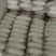 白萝卜，湖北白萝卜上市了，大量供应，诚信经营