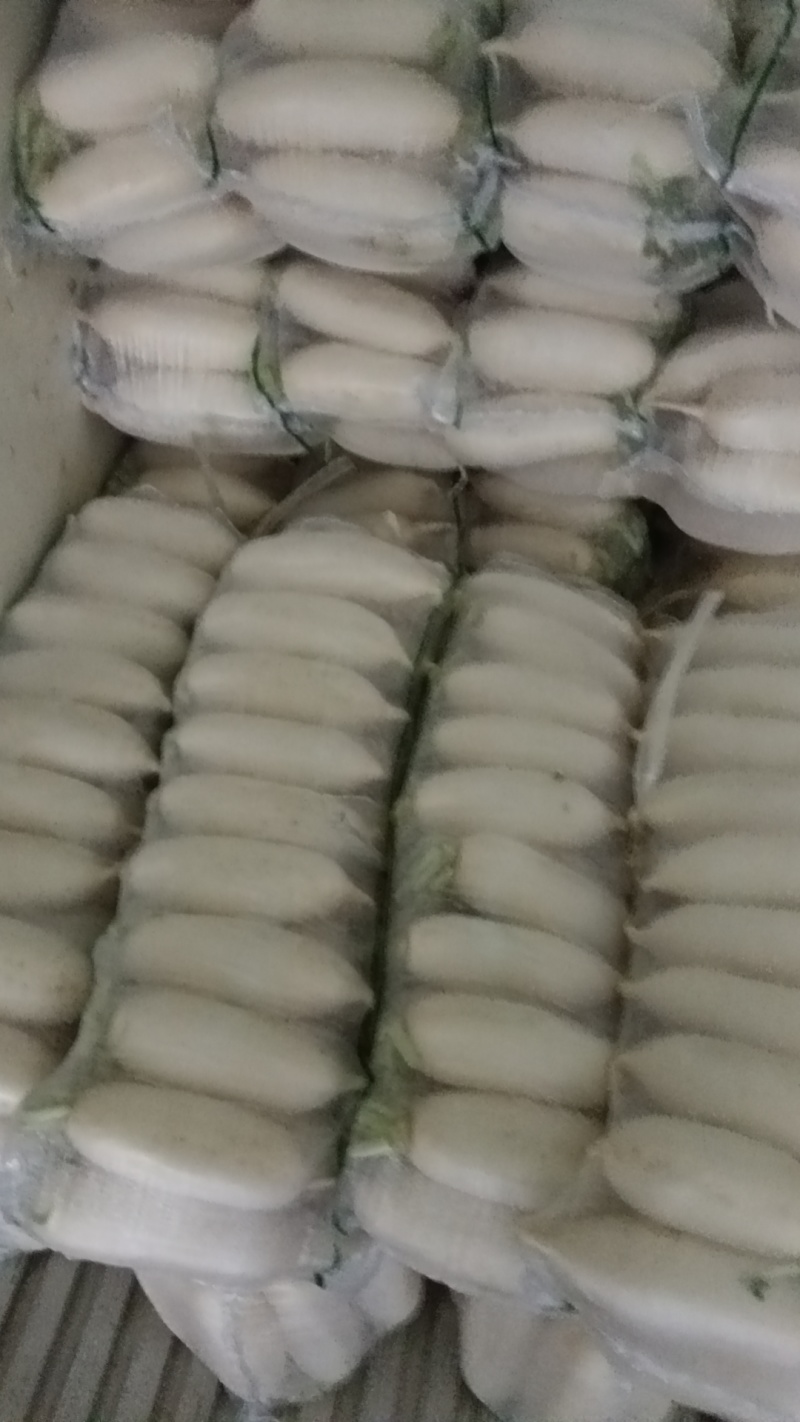 白萝卜，湖北白萝卜上市了，大量供应，诚信经营