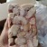 鸭腰子