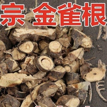 金雀根各种规格金雀根批发零售量大从优