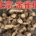 金雀根各种规格金雀根批发零售量大从优