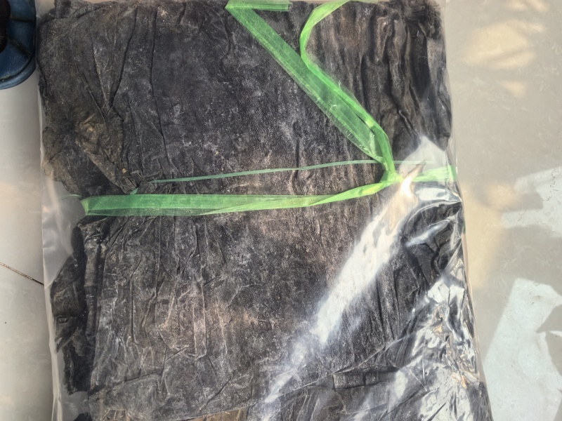 干海带一棵菜，精品干海带，赶大集必选产品，无盐无沙干度好