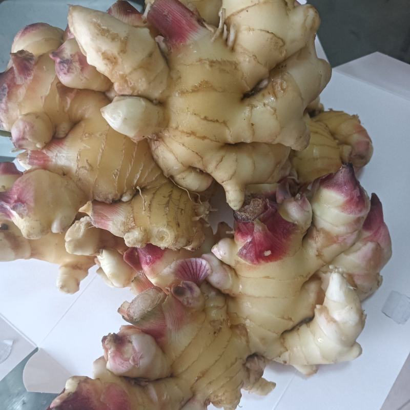 生姜质量好，姜白，辣遍子大，单个大，胖，形像好，欢迊选购