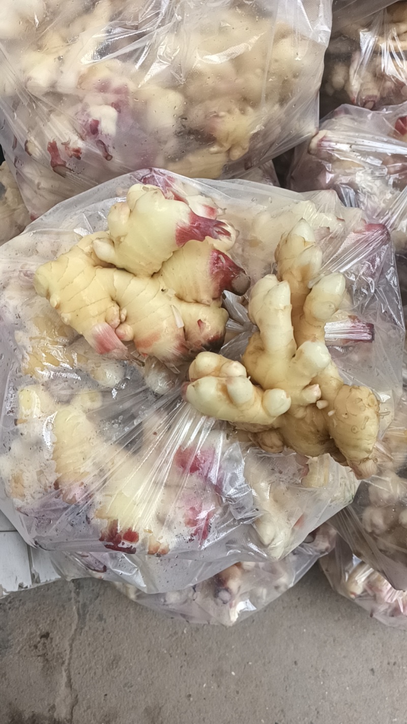 生姜质量好，姜白，辣遍子大，单个大，胖，形像好，欢迊选购