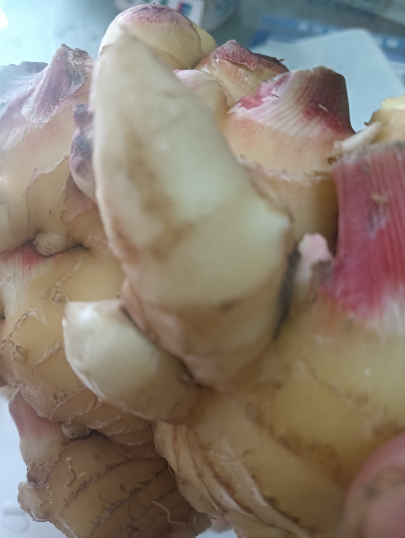 生姜质量好，姜白，辣遍子大，单个大，胖，形像好，欢迊选购
