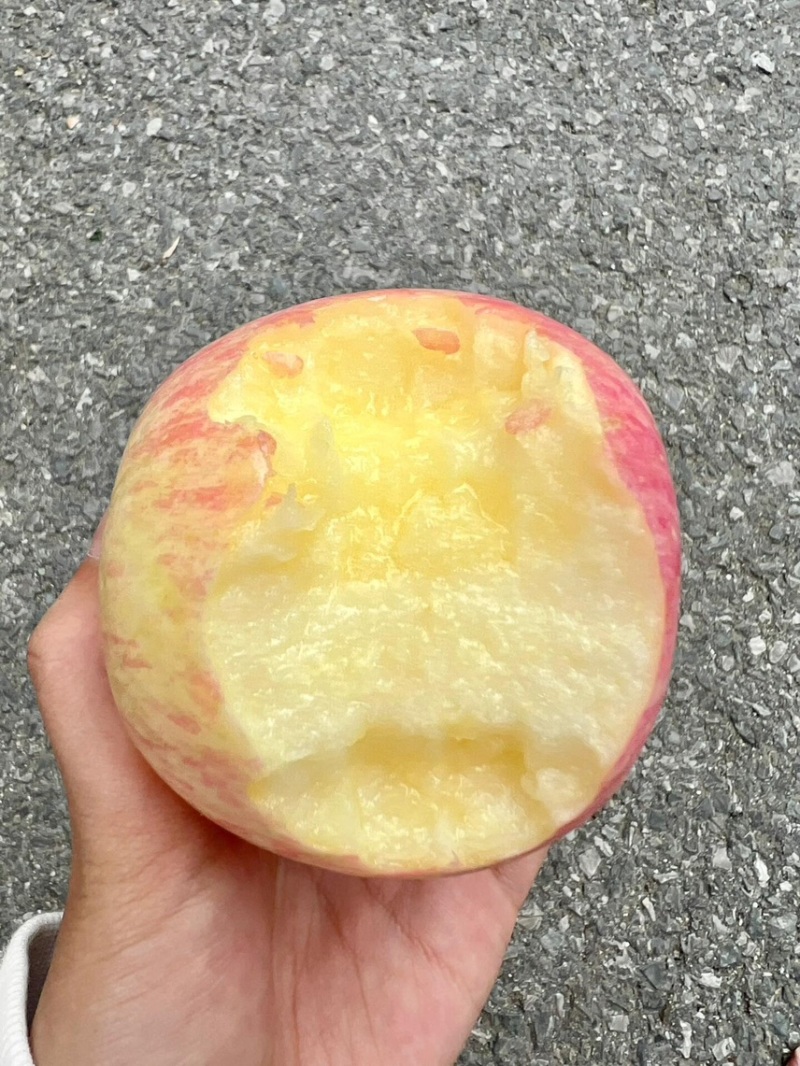 电商供应链一件代发对接各大电商平台山东红富士大苹果片红全