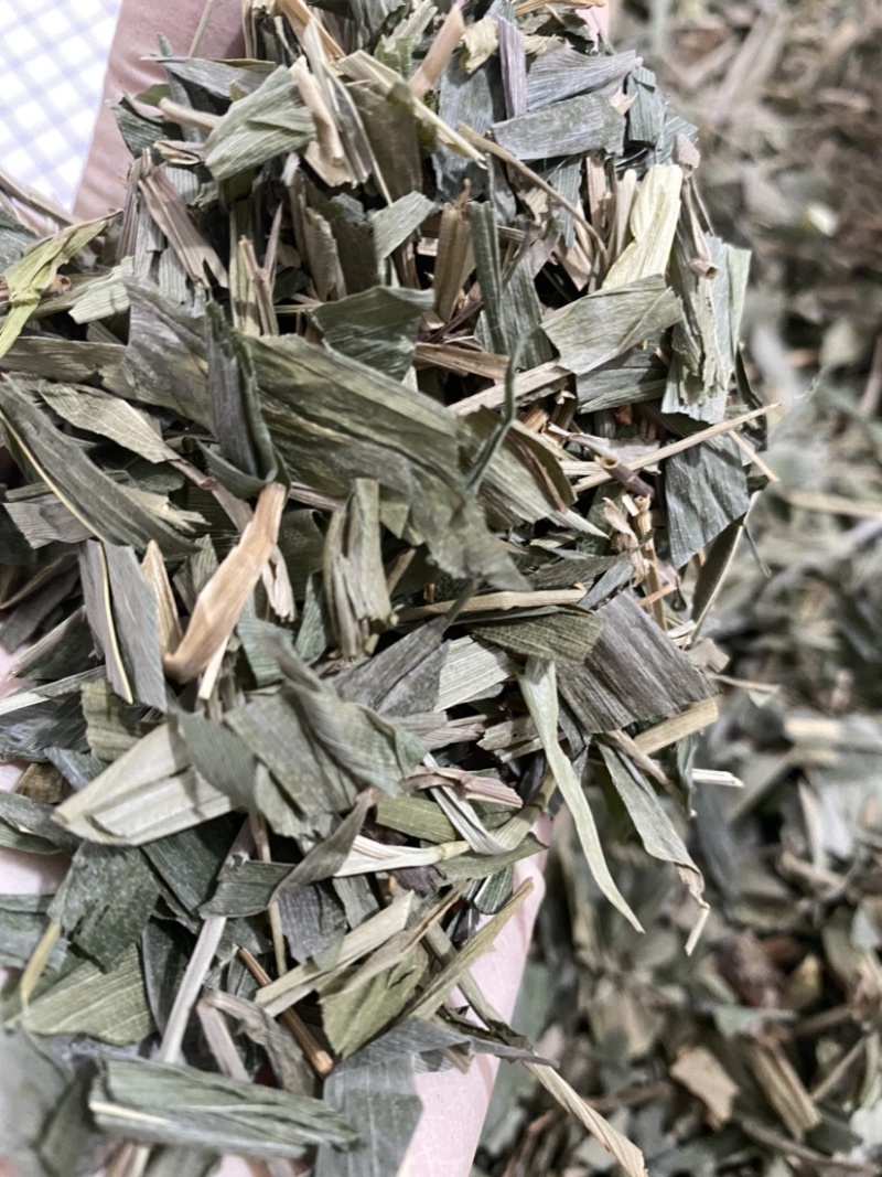 竹叶颜色好一件代发量大从优质量保证